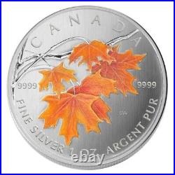 1 Oz Silver Coin 2007 $5 Canada Maple Leaf Colored Coin Sugar Maple in Orange