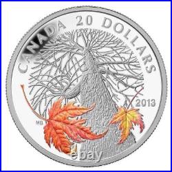 1 Oz Silver Coin 2013 $20 Canada Color Maple Canopy Autumn