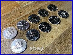 10 x 1oz 9999 Silver Maple Leaf 2010 Coins