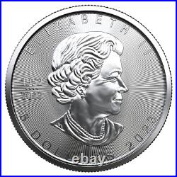 10x 1 oz Maple Leaf Silver Coins 2023 Lot 2