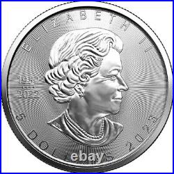 10x 1oz Silver Maple Leaf 2023 Canadian Silver Bullion Coin Lot 3