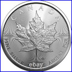 10x 1oz Silver Maple Leaf 2023 Canadian Silver Bullion Coin Lot 7