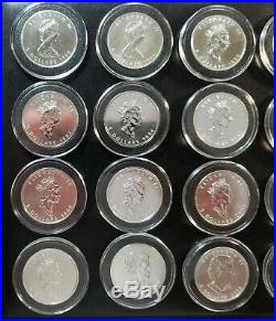 1988-2019 Canada Maple Leaf Collection 32 BU Silver 1 Oz Coin Set Canadian