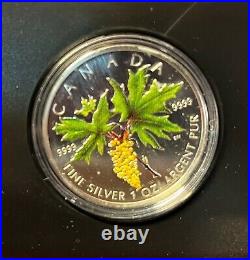 2005 Canada $5.9999 SILVER COLORIZED GIANT of the FOREST MAPLE +BOX/CASE/COA