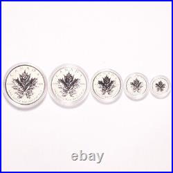 2013 Canadian Silver Maple Leaf Fractional Set 25th Anniversary