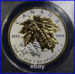 2014 Canada Silver Maple Leaf 5-Coin Set First Release ANACS RP69