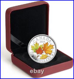 2014 Majestic Maple Leaves Canada 1 OZ Silver Corner Proof Coloured Rcm