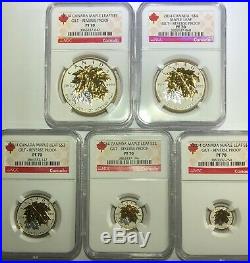 2014 Ngc Pf70 Canada Gilt Reverse Proof Silver Maple Leaf 5 Coin Fractional Set