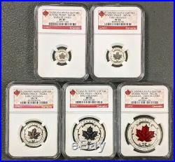 2015 Canada Silver Maple Leaf incused and enamel 5 Coin Reverse Proof NGC PF70