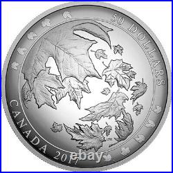 2017 Canadian $50 Maple Leaf Proof Leaves in Motion 5 oz Silver Convex Coin