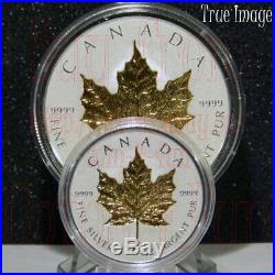 2019 40th Anniversary of Gold Maple Leaf GML $50 and $20 Pure Silver Proof Coins