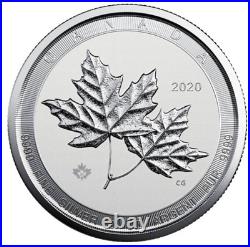 2020 2 oz. 9999 silver Canadian Twin Maple coin in capsule