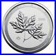 2020 2 oz. 9999 silver Canadian Twin Maple coin in capsule