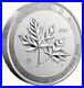 2021 10oz Silver Bullion'Magnificent' Maple Leaf Coin