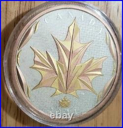 2021 5oz 50 Dollar Silver withgold Maple Leaves in Motion Coin