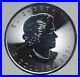 2021 CANADA UK Queen Elizabeth II MAPLE LEAF 1 OZ Vintage Silver $5 Coin i94616