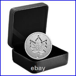 2021 Canada 1 oz Silver Maple Leaf Super Incuse SML Reverse Proof $20 Coin OGP