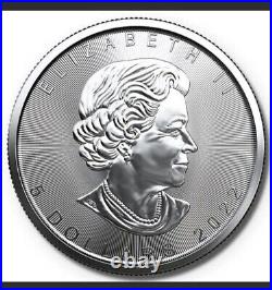 2022 1 oz Canadian Silver Maple Leaf Tube (25 Coins, BU)