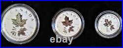 2022 5 Coin. 9999 Silver Maple Leaf Fractional Set A Radiant Crown Coa & Ogp