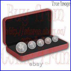 2022 A Radiant Crown Maple Leaf 5-Coin Pure Silver Proof Fractional Set Canada