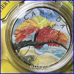 2022 Canada Colours of Paradise Funky Holo Colored 1 oz Silver Maple 3-Coin Set