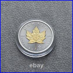 2024 1 oz Silver Silver Maple Leaf 24kt Gold Treasure Canada Canada NEW ONLY 250