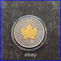 2024 1oz Silver Silver Maple Leaf 24kt Gold Treasure Canada Canada NEW ONLY 250 3