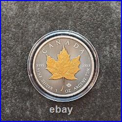 2024 1oz Silver Silver Maple Leaf 24kt Gold Treasure Canada Canada NEW ONLY 250 3