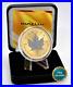 2024 1oz Silver Silver Maple Leaf 24kt Space Gold Canada Canada NEW ONLY 500 BU #2