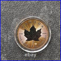 2024 1oz Silver Silver Maple Leaf 24kt Space Gold Canada Canada NEW ONLY 500 BU #2