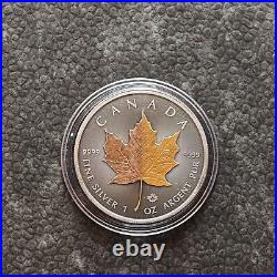 2024 1oz Silver Silver Maple Leaf Dual 24kt Gold Gilded Canada Canada NEW 250ST3