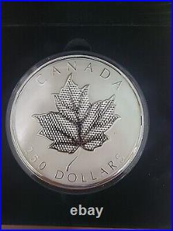 2024 RCM 1 Kilo Silver $250 Pulsating Maple Leaf