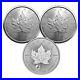 2024 Treasured Maple Leaf Effigies $5 Premium Bullion Silver 3-Coin Set Canada