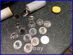 25 X. 9999 Silver Canadian Maple Leaf Coins In Mint Bullion Tube 2010