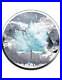 AVALANCHE Natural Disasters Maple Leaf 1 Oz Silver oin 5$ Canada 2024