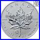 Canada 2013 FABULOUS F 15 Fab 15 Privy Mark $5 Pure Silver Maple Leaf in OGP