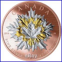 Canada 2019 50$ MAPLE LEAVES IN MOTION 5oz Silver Coin