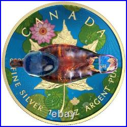 Canada 2022 5$ Maple Leaf Murano glass Series Blueneck Duck 1Oz Silver Coin