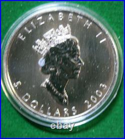 Canada 5 Dollar 2003 1 oz Silver Colorized #F4740 Maple Leaf Summer Box & COA