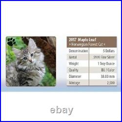 Canada 5 dollars 2017-Norwegian Forest Cat Cute Kittens (2.) 1 OZ Silver ST