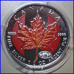 Canada Maple 5 Dollar 2000 Silver 1 OZ F #5728 Privy Fireworks-Herbstlaub