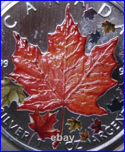 Canada Maple 5 Dollar 2001 Silver 1 OZ F #5747 Colored Four Seasons Autumn