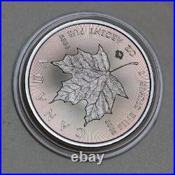 Canada Maple leaf 1 oz toning Silver coin Toned by Gump NO. 20230615 12