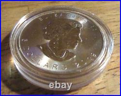 Colorized 2019 Maple Leaf 1oz Silver 5 Dollars Coin Display Case Certificate