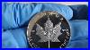 Fake Silver The 2013 Canadian Maple Leaf