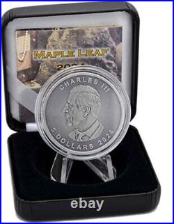 GOLD TREASURE EDITION Maple Leaf 1 Oz Silver Coin 5$ Canada 2024