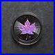 Maple Leaf Black Holographic 2023 Canada Canada Silver Silver CASE Certificate 250BU 2