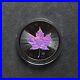 Maple Leaf Black Holographic 2023 Canada Canada Silver Silver Concert Case ONLY 250