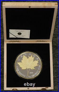 Maple Leaf Kilo Forever Canadian Coin 2013 $250 1 99.99% Silver RARE 600 minted