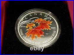 Royal Candian. 9999 Silver Proof 2007 5 Dollar Maple Leaf Coloured 1oz Coin COA